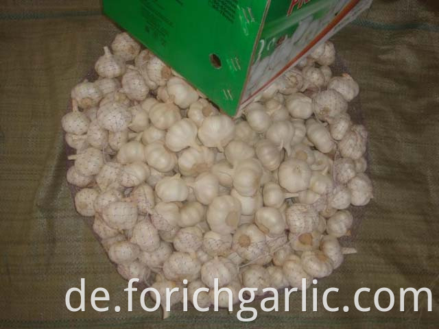 Pure White Garlic